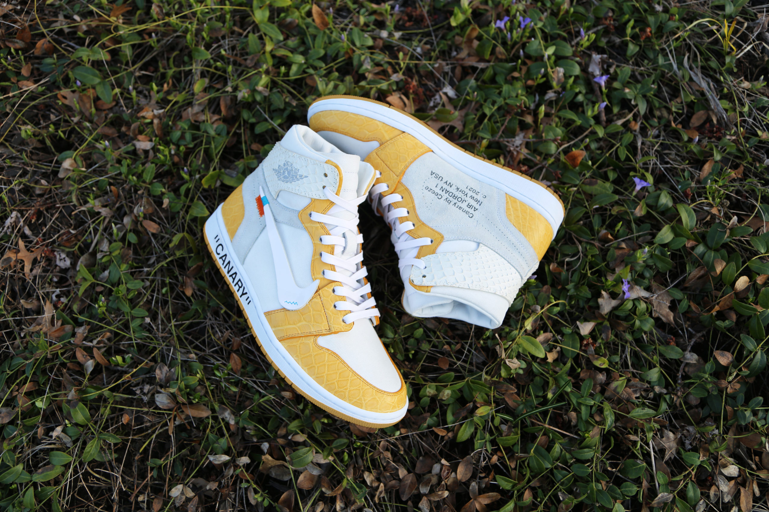 ow x jordan 1